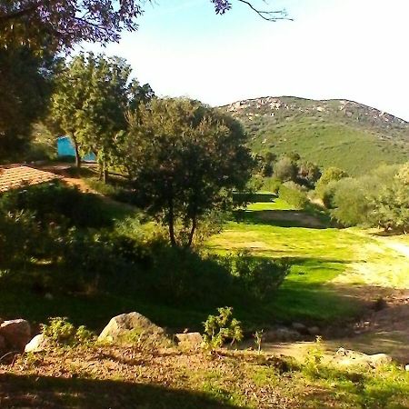 Farm Stay Gli Oleandri Loiri Porto San Paolo Extérieur photo
