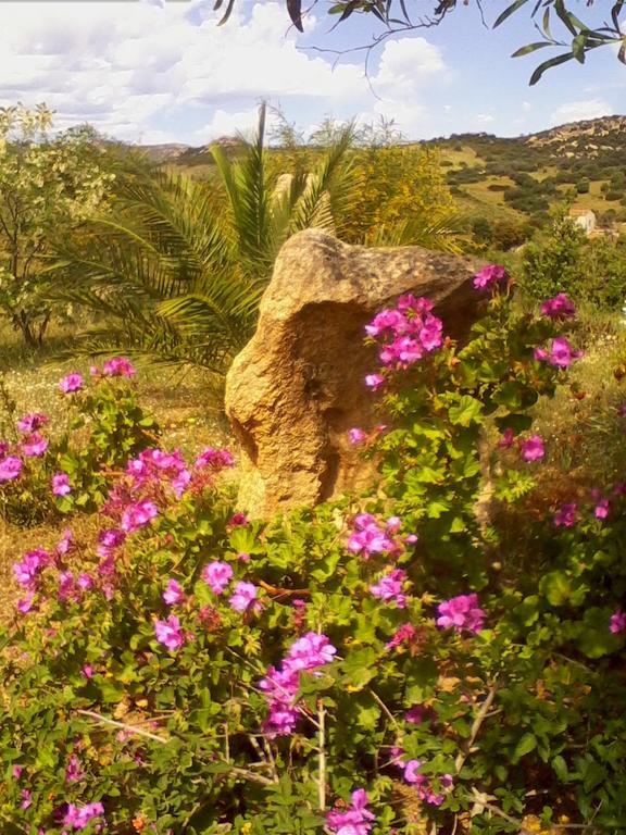 Farm Stay Gli Oleandri Loiri Porto San Paolo Extérieur photo