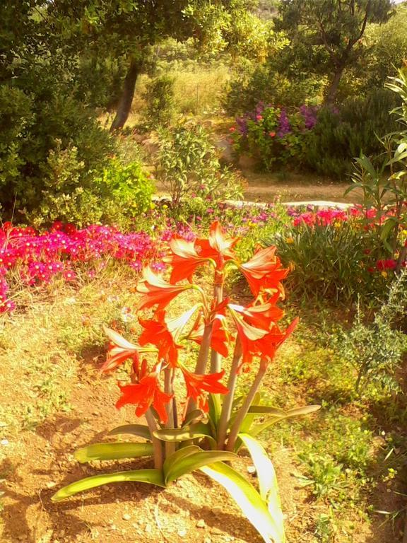 Farm Stay Gli Oleandri Loiri Porto San Paolo Extérieur photo
