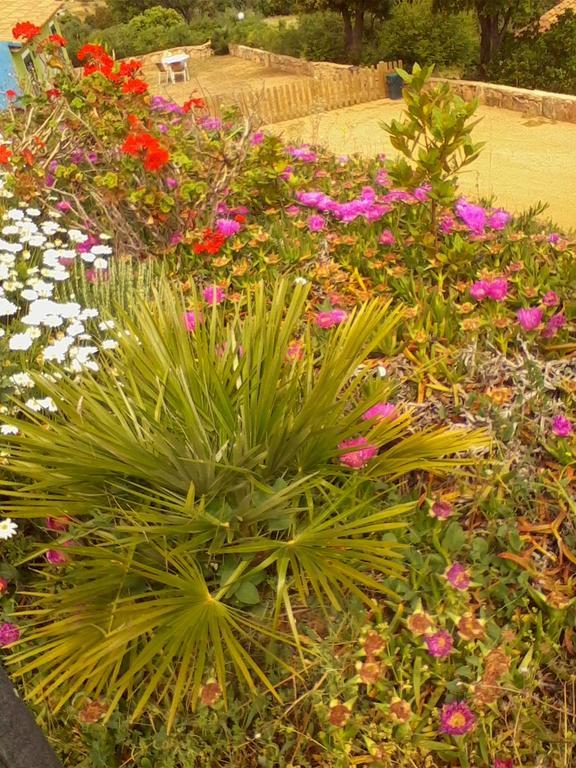 Farm Stay Gli Oleandri Loiri Porto San Paolo Extérieur photo