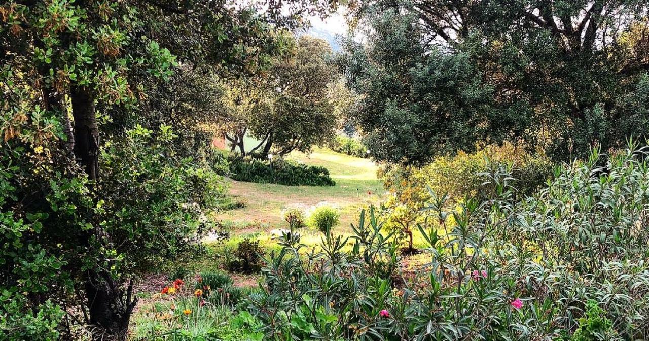 Farm Stay Gli Oleandri Loiri Porto San Paolo Extérieur photo