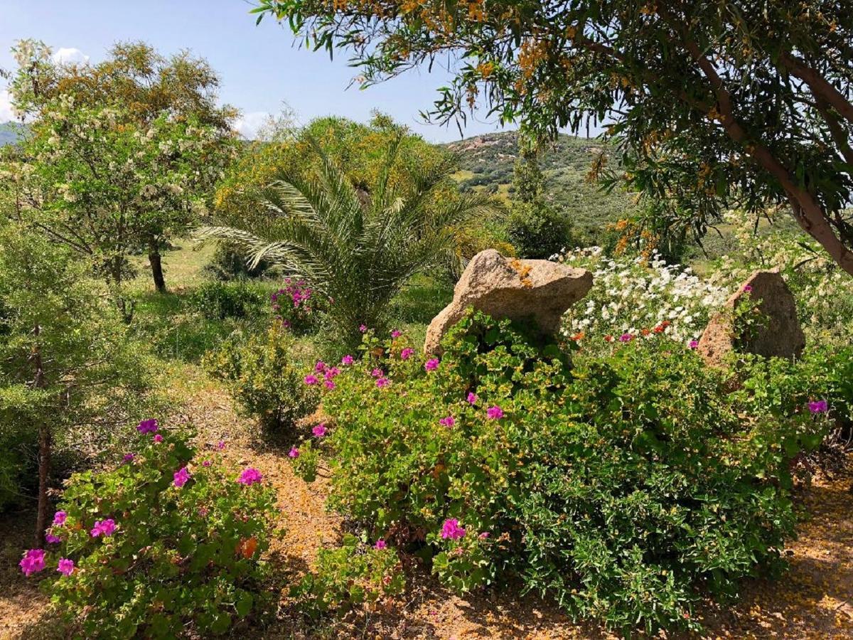 Farm Stay Gli Oleandri Loiri Porto San Paolo Extérieur photo