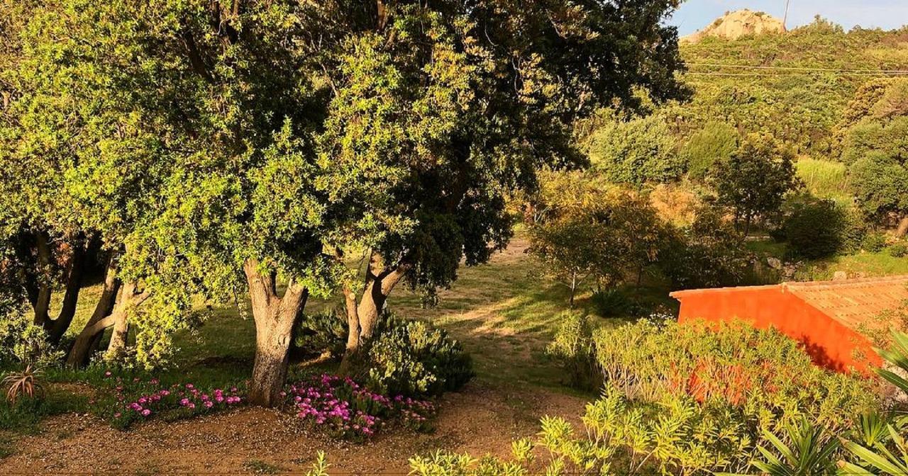 Farm Stay Gli Oleandri Loiri Porto San Paolo Extérieur photo