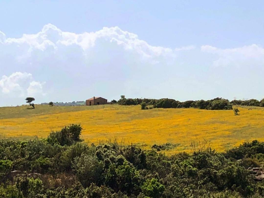 Farm Stay Gli Oleandri Loiri Porto San Paolo Extérieur photo